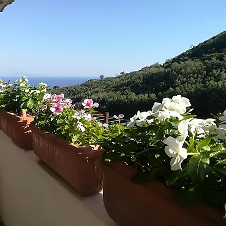 Il Covo delle Civette-2